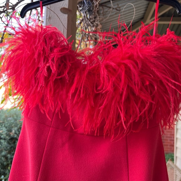 Rebecca Vallance Scarlett Strapless Gown Size 10 (fits 10-12) - Picture 6 of 10